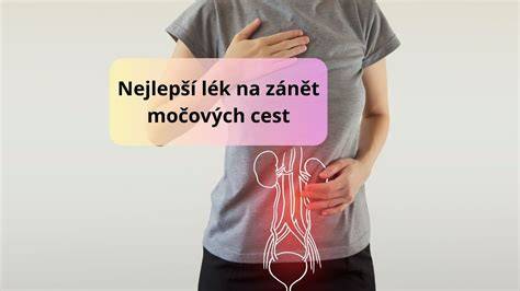 Infografika: Jak probíhá vyšetření močových cest v těhotenství