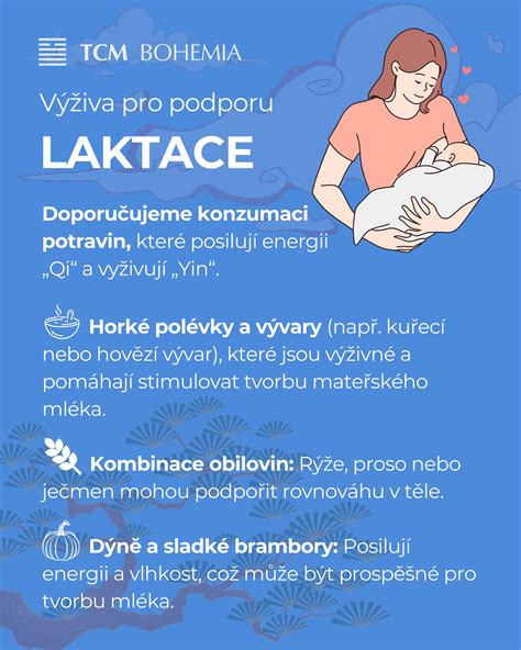 infografika s tipy pro podporu laktace: časté kojení, hydratace, odpočinek, podpora partnera