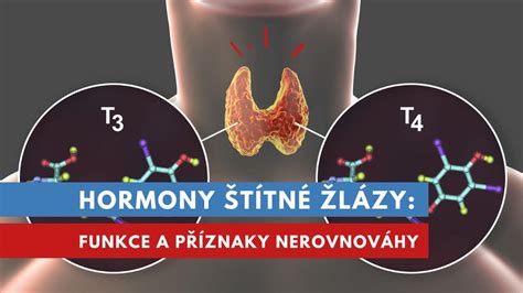 Infografika: Hormony štítné žlázy a jejich vliv na vývoj plodu