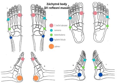 Ilustrace dětského chodidla s vyznačenými klíčovými body pro výběr boty (flexibilita podrážky, šířka špičky, opatek)