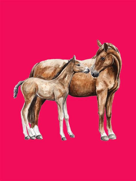 ilustrace klisny s hříbětem