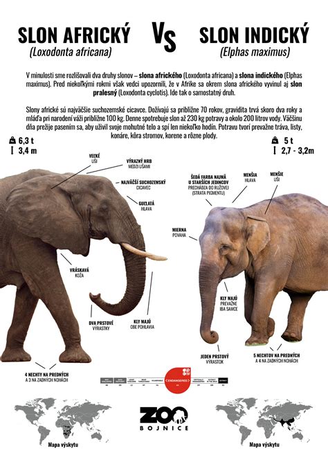Infografika: Rozdíly mezi morfologickým hodnocením embrya a výsledky genetických testů