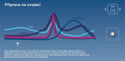schematické znázornění fází ovulačního cyklu s vyznačením hormonálních změn