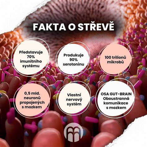 Infografika: co je Wobenzym a jak působí na záněty a imunitní systém