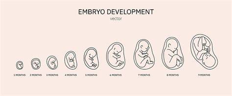 Infografika: Vývoj prenatální diagnostiky od historických kořenů po současnost