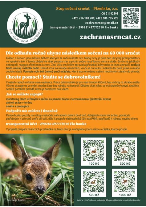 Infografika: Život srnčat a období kladení
