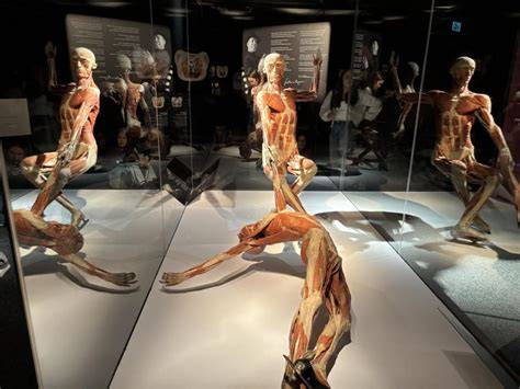 Mapa výstavy BODY WORLDS - Pražské Holešovice