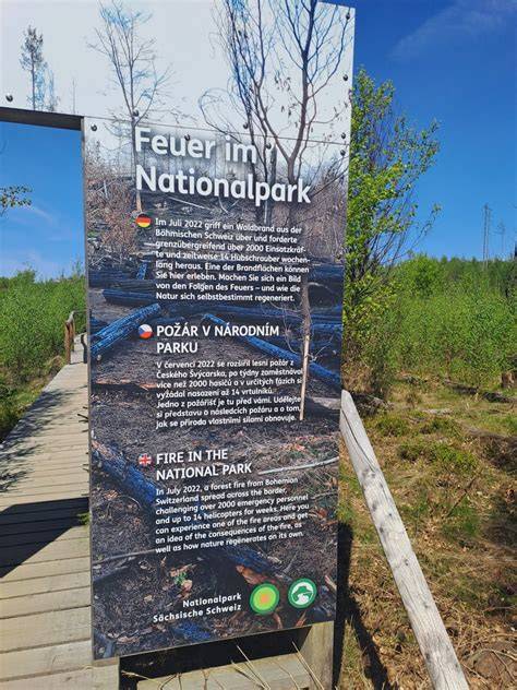 Statická grafika: Plán expozice a dětská stezka