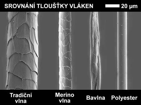 Infografika: Vlastnosti merino vlny a výhody pro dětskou pokožku