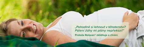 Grafické znázornění hlavních typů ultrazvukových vyšetření v těhotenství a jejich načasování