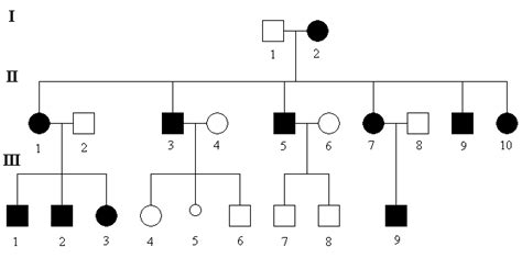 schéma znázorňující dědičnost chromozomů X a Y