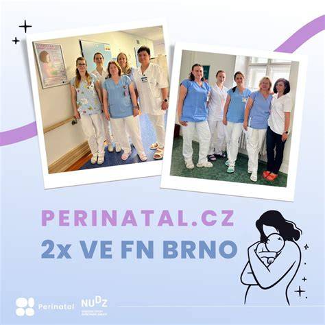 Schéma procesu péče v porodnici od těhotenství po šestinedělí