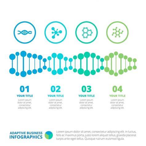 Infografika: kroky pletení dna a boků košíku