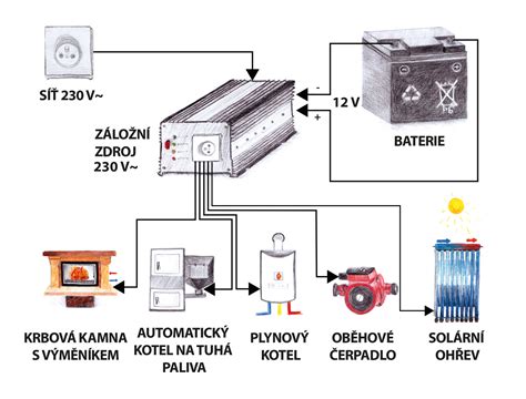 Schéma oběhového systému plodu s vyznačenými zkraty.