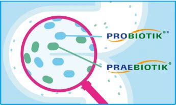 Grafik: Probiotika a prebiotika v HiPP Combiotik
