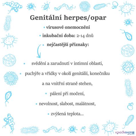 Infografika: Genitální herpes - tok diagnostiky a léčby