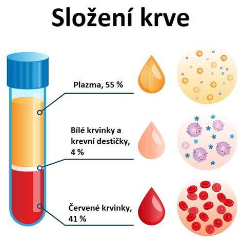 Schéma složení lidské krve