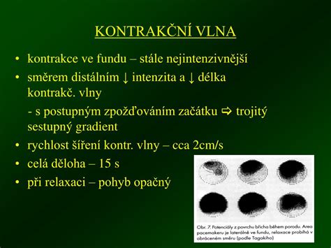 Schéma šíření děložní kontrakce