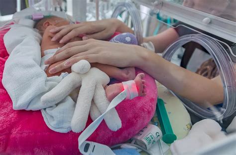 Infografika: Průběh péče o nedonošené dítě - od inkubátoru po kojení a domácí péči