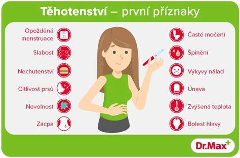 Infografika: Příznaky těhotenství a jejich časový rámec