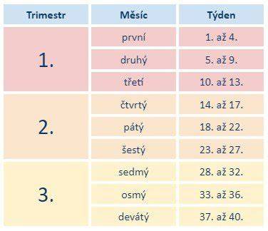 Infografika: Rozdělení typů těhotenských bund podle období