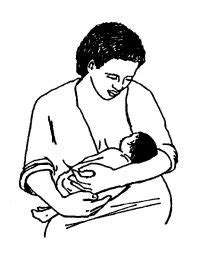 Ilustrace různých poloh při kojení.