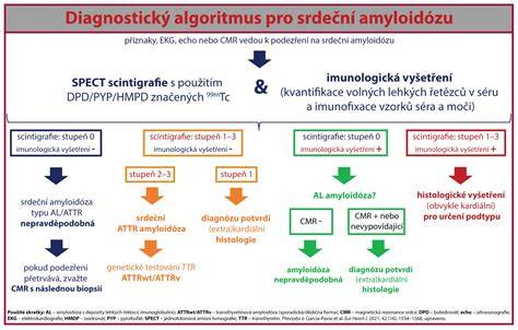 Infografika: Algoritmus řízení GBS infekcí během těhotenství a porodu.