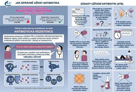 Infografika: Jak probíhá výběr antibiotika v těhotenství a co brát v úvahu