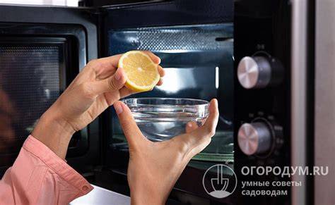 Infografika ukazující princip parní sterilizace v mikrovlnné troubě: množství vody, časy podle výkonu a držení víka