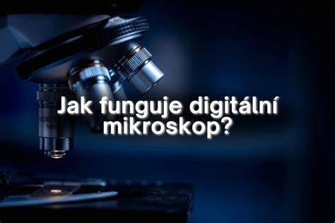 Infografika: Jak funguje ovulační mikroskop a vizuální průvodce krystalickou strukturou slin