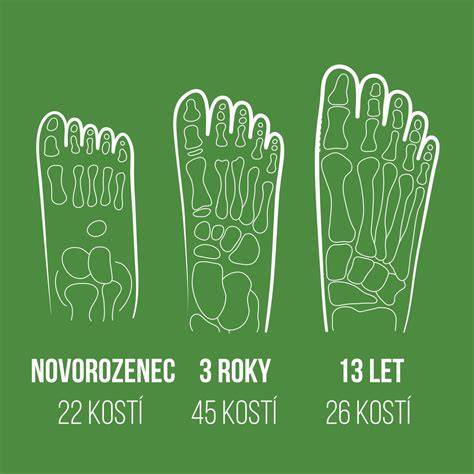Infografika: Dejme dětskému pohybu prostor pro zdravý vývoj svalů trupu a nohou