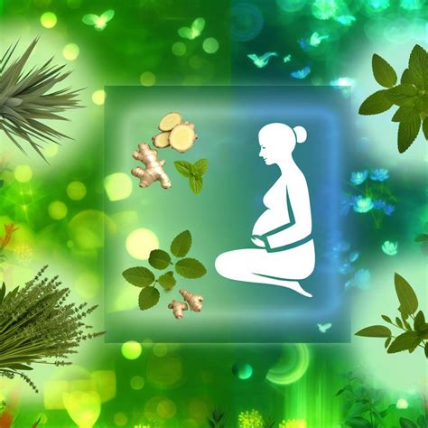 Infografika s doporučeními pro zmírnění slabosti v těhotenství