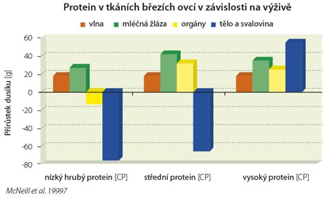 Infografika o správném krmení březí ovce