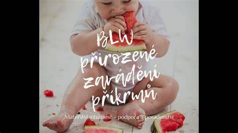 Mapa zavádění příkrmů a BLW principů