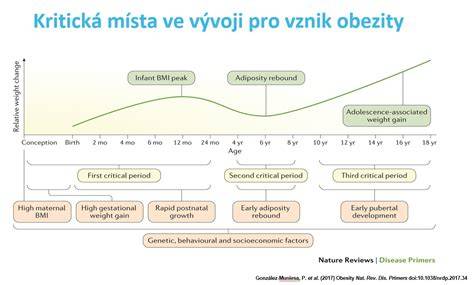Infografika: Prevence dětské obezity - faktory a kroky k zlepšení