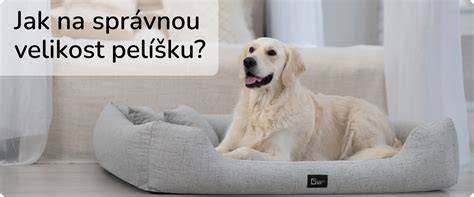 Infografika: Jak vybrat správnou velikost plenky pro psa