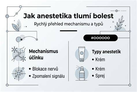 Infografika: Jak fungují svrchňáčky a typy plen