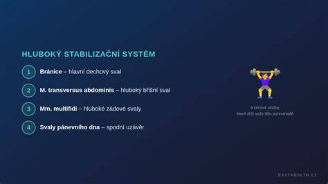 Infografika: Vrstvy pánevního dna a hlubokého stabilizačního systému