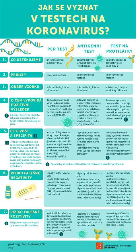 Infografika: Jak fungují domácí těhotenské testy
