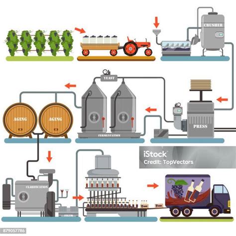 ilustrace procesu výroby dudlíků BIBS v Dánsku