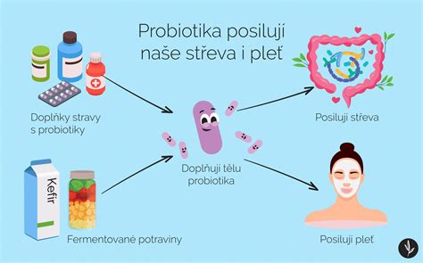 Infografika: Jak probiotika ovlivňují trávicí trakt a osy střeva-mozek