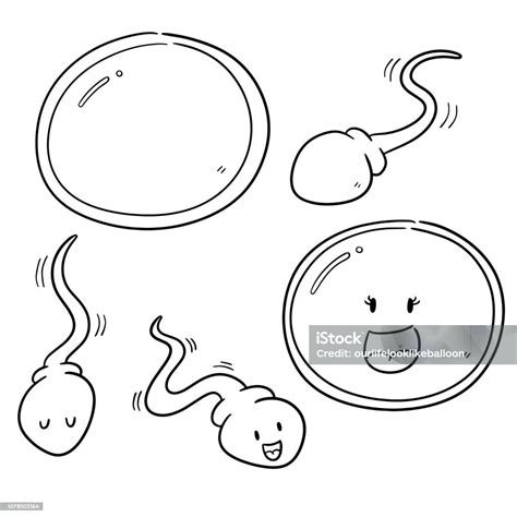 Ilustrace znázorňující cestu spermie k vajíčku