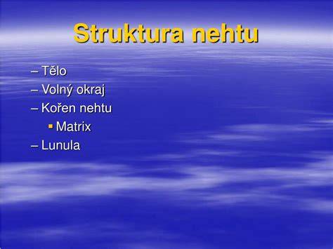Infografika: struktura nehtu a matrixu, vznik svislých rýh