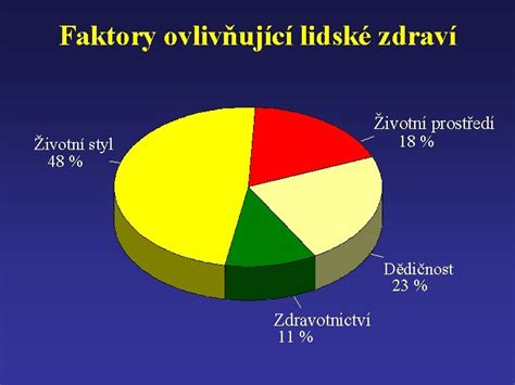 Infografika zobrazující cyklus růstu vlasů a faktory ovlivňující jeho zdraví.