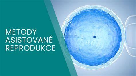 Infografika: Cesta IVF a možnosti asistované reprodukce