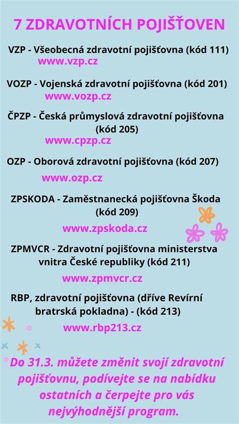 infografika: možnosti čerpání příspěvku podle DVZ