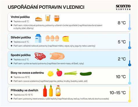 Infografika: Správné uskladnění zeleniny v lednici