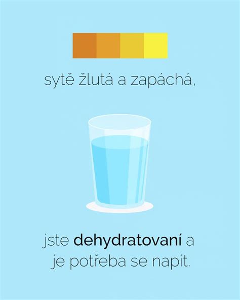 Infografika: Pitný režim a věkové normy pro děti
