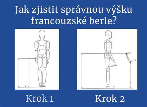 Infografika: Jak správně nastavit výšku postroje a polohu hlavy