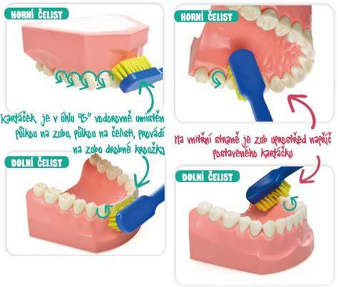 Infografika: Správná technika čištění saviček Baby Nova